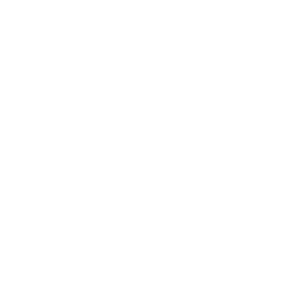 logo main